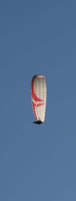 IMG_7847.JPG