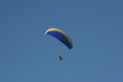 IMG_7864.JPG