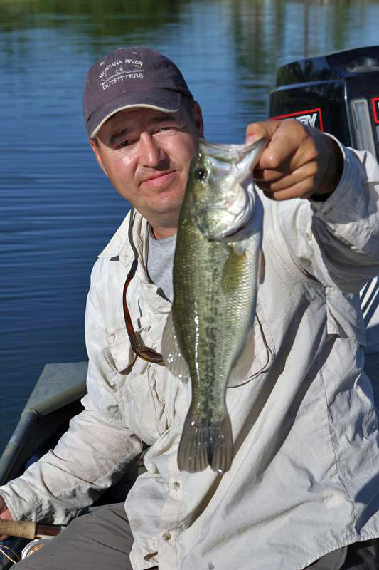 Largemouth Bass, Wasa Lake, BC