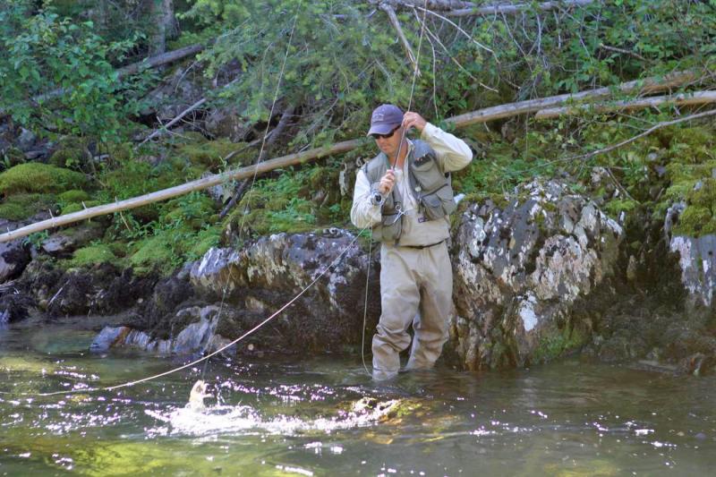 Playing a Fish