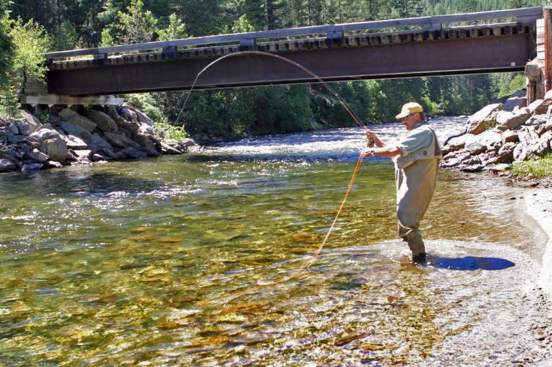 Playing a trout