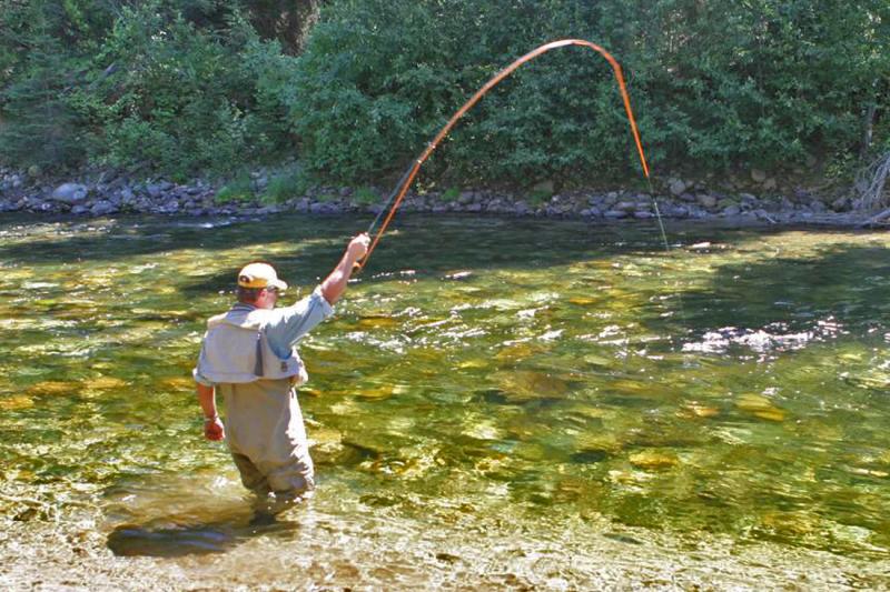 Playing a Fish