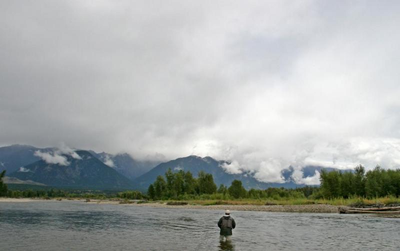 Low Hanging Cloud