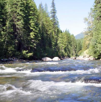 Skookumchuk Creek, British Columbia