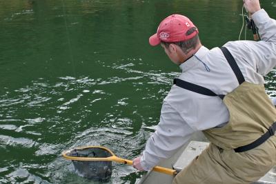 Netting a Fish