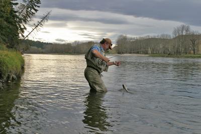 Fish brought to hand