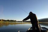 Largemouth Bass, Wasa Lake, BC