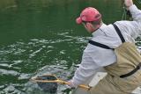 Netting a Fish