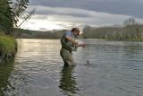 Fish brought to hand