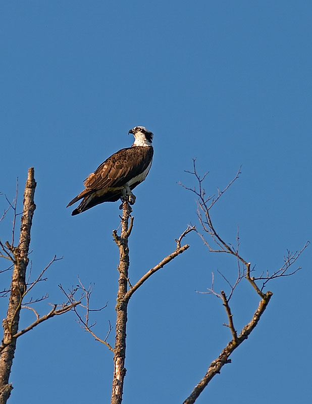 Keeping Watch