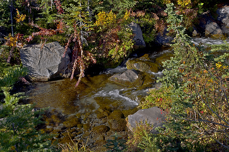CRW_4284w.jpg