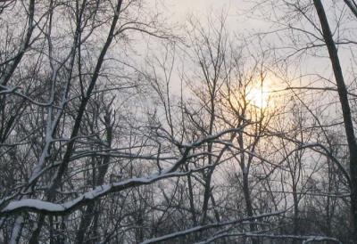 Sun in Winter