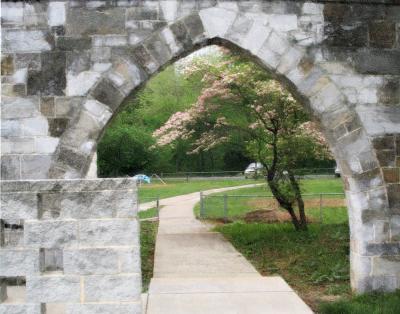 Under the Arch