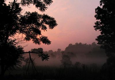Fog on Fire