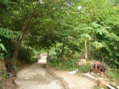 Walkway to Son Tra Island - DaNang