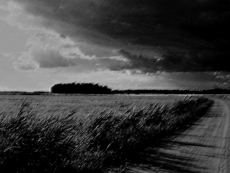 Moody Art