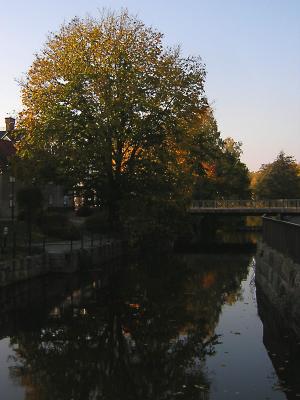 autumn_river600x800.jpg