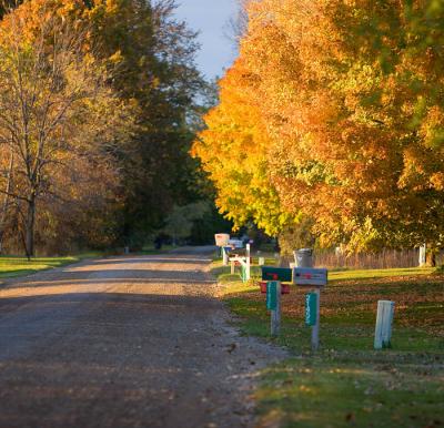 fall_colors