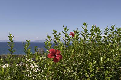 1201 - The sea of Rhodes