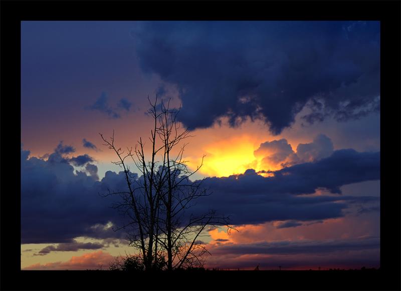 Athabasca - Backyard