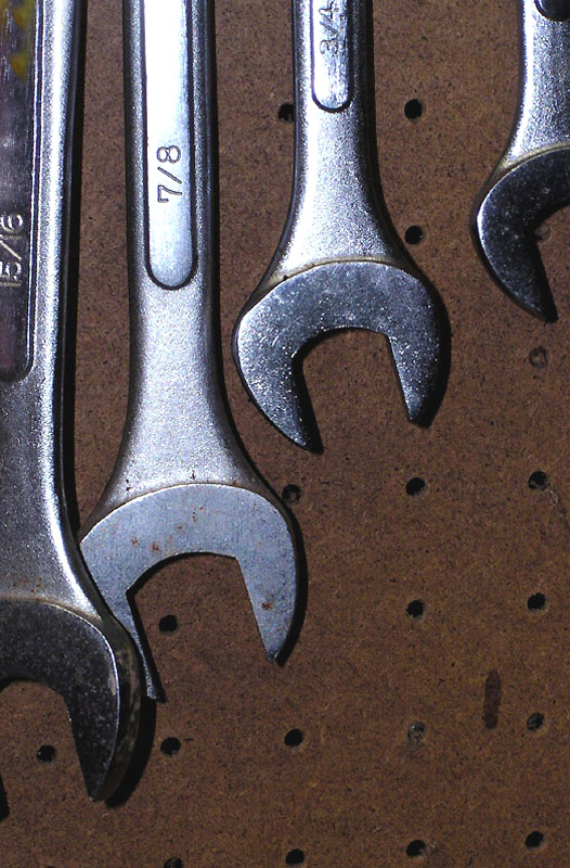 Bare Essentials<br>Cathy Waters