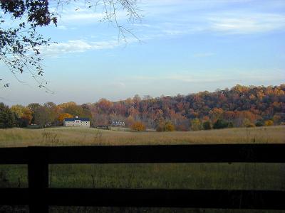 Autumn Treesby Inigo Montoya