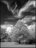 Summer Skies.jpg