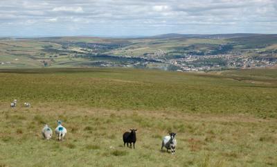 Bacup from Top of Leach