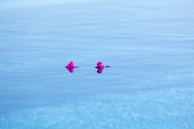 0212_RCL1451.jpg