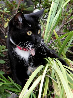 TinkerBoo_7387.jpg