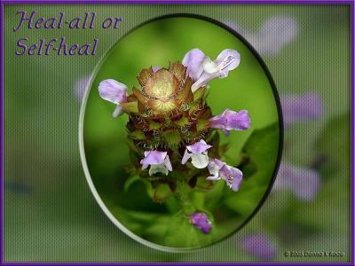 Self-heal