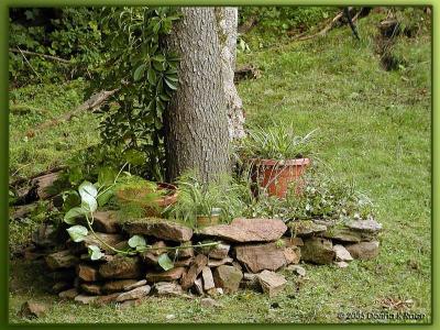 Rustic Landscape