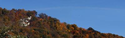 It wasn't a very colorful fall this year. The pano is 4 pics stitched together. The silver-leaved tree in the foreground is on our neighbor's property, the hill is across two highways about 1/4 mi. away.