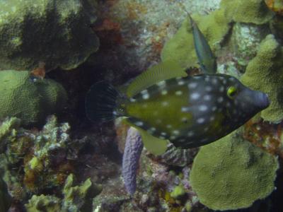 DSCN1433.JPG
