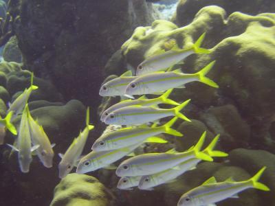 DSCN1320.JPG