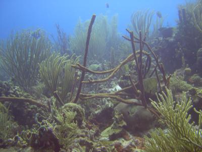 DSCN1341.JPG