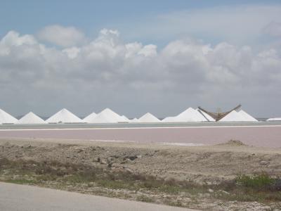 Solar Salt Works