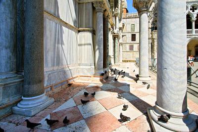 Columns and pigeons