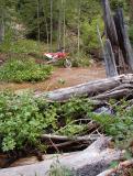 Idaho Trails Near Baumgardner