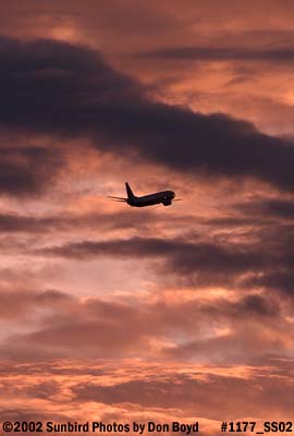 American Airlines B737-823 climbing out aviation airline sunset stock photo #1177_SS02