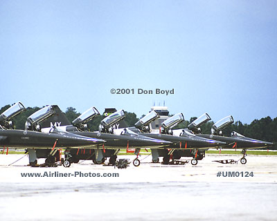 2001 - USAF Northrop T-38A Talons military aviation stock photo #UM0124