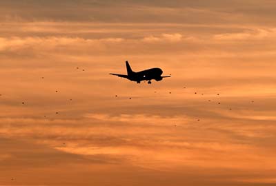 Southwest Airlines B737 on approach with birds flying at sunset aviation airline stock photo #3058