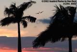 B757 on final approach as sunset aviation stock photo #1294