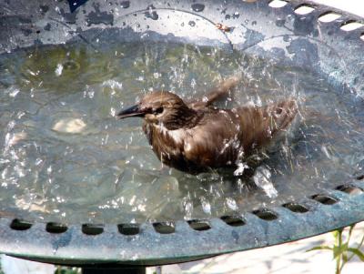 keep cool.jpg