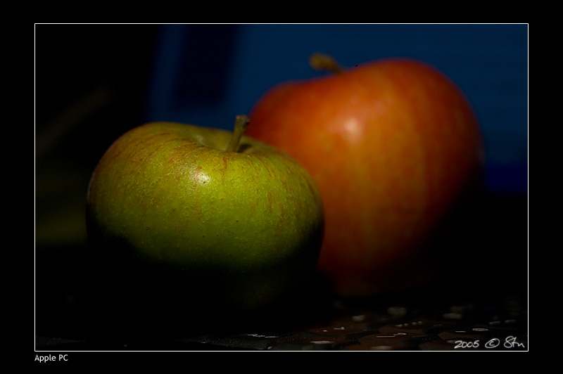 Apple or PC? That is the question.