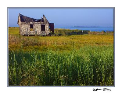 Old Shack