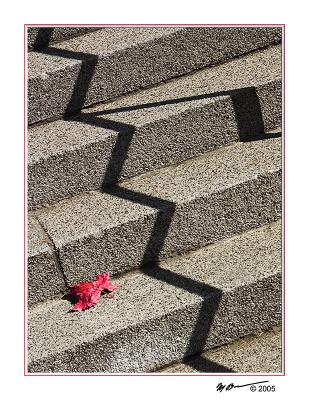 Red Leaf On The Stair