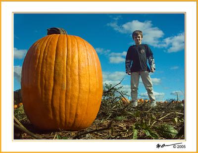 Big Pumpkin