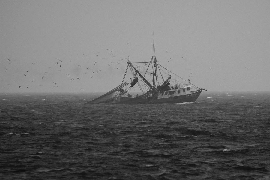 Bringing in the shrimp nets (b&w)