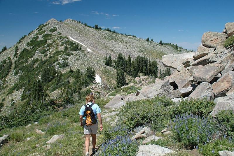 Northern Utah, 2005